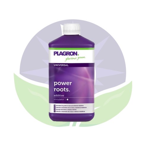 Power Roots engrais racinaire de 100ml à 1L - Plagron
